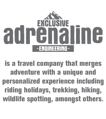 Exclusive Adrenaline Engineering